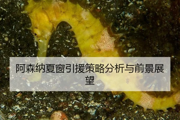 阿森纳夏窗引援策略分析与前景展望